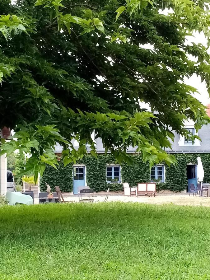 Le clos champêtre Longué Exterior foto