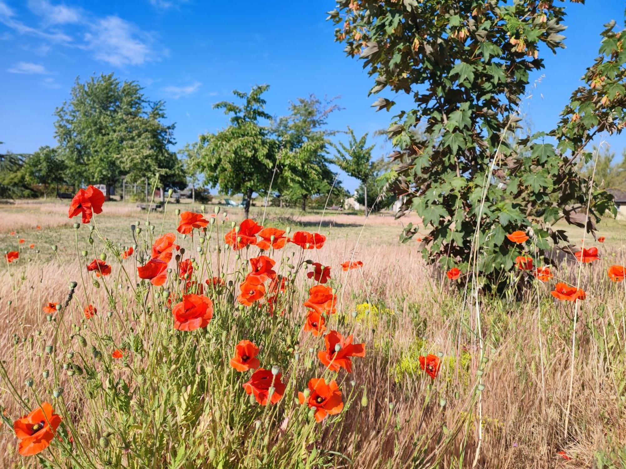 Le clos champêtre Longué Exterior foto