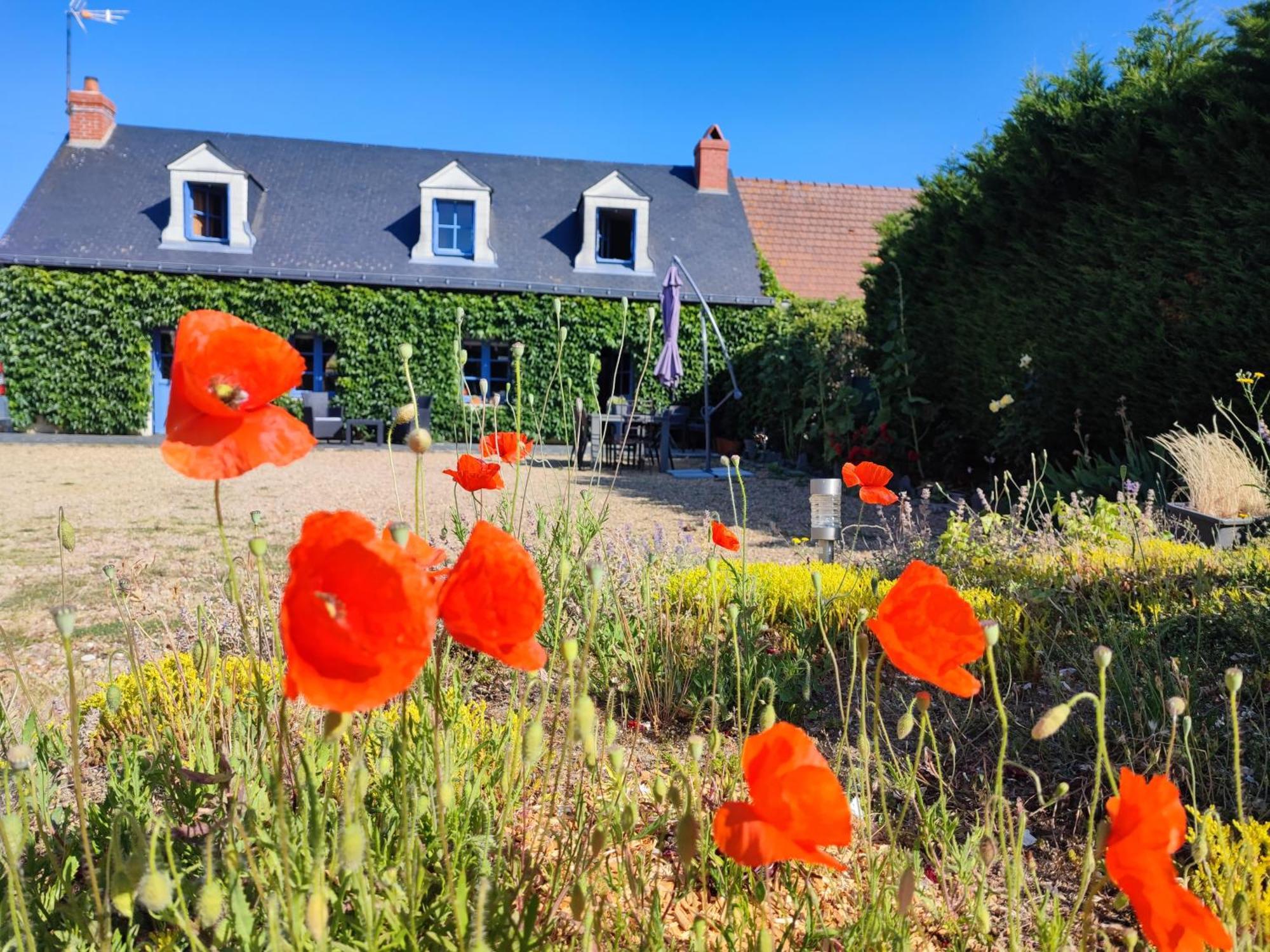 Le clos champêtre Longué Exterior foto
